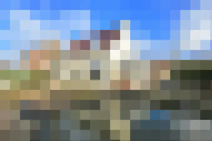 Ruigenhoek 1 De Zilk thumbnail 5