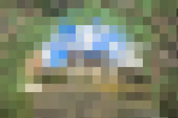Ruigenhoek 1 De Zilk thumbnail 50