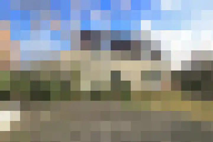 Ruigenhoek 1 De Zilk thumbnail 52