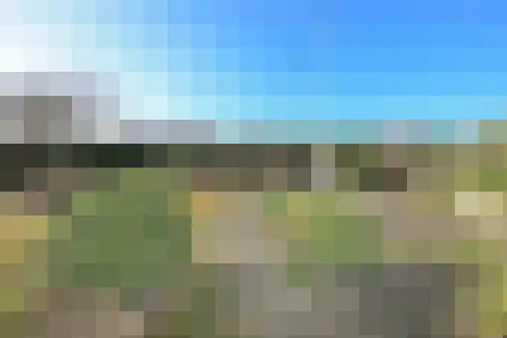 Ruigenhoek 1 De Zilk thumbnail 53