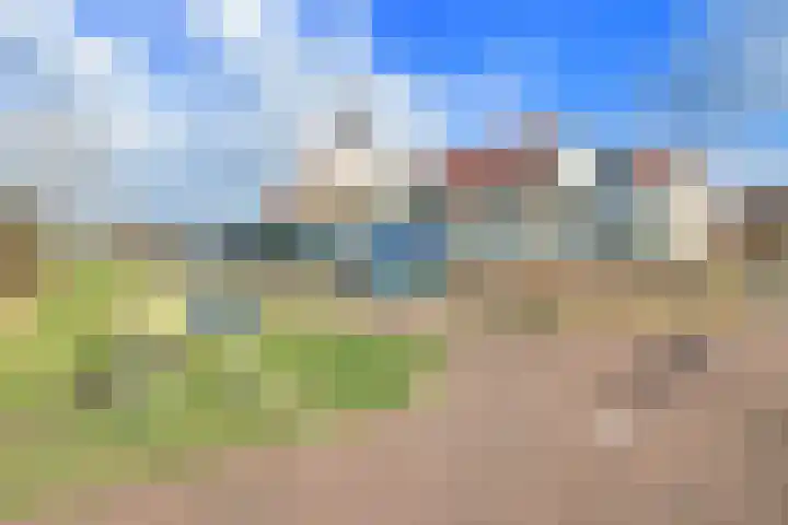 Ruigenhoek 1 De Zilk thumbnail 54