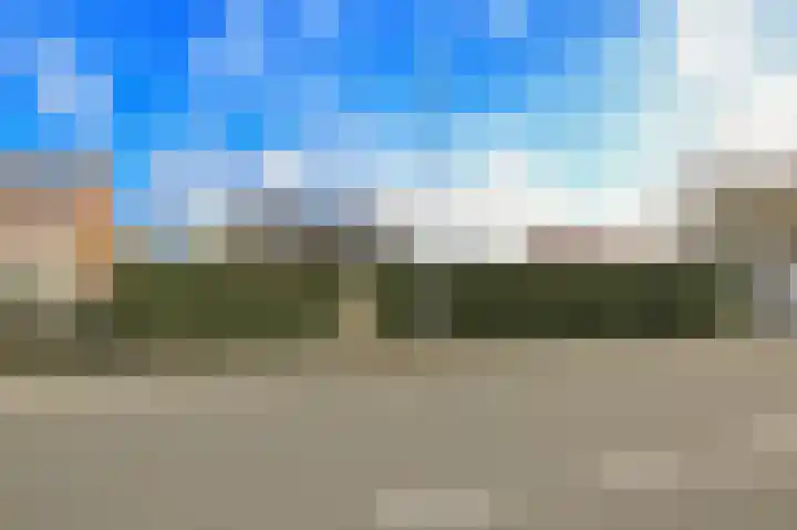 Ruigenhoek 1 De Zilk thumbnail 55