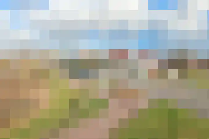 Ruigenhoek 1 De Zilk thumbnail 56