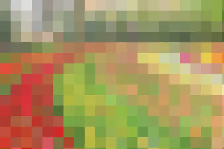 Ruigenhoek 1 De Zilk thumbnail 58