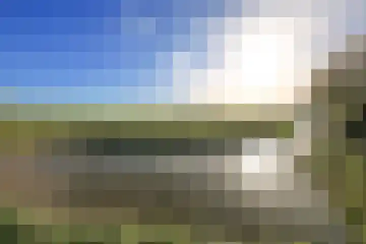 Ruigenhoek 1 De Zilk thumbnail 59