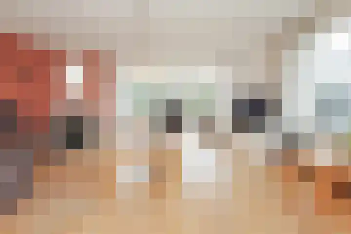 Ruigenhoek 1 De Zilk thumbnail 6