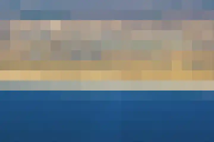 Ruigenhoek 1 De Zilk thumbnail 60