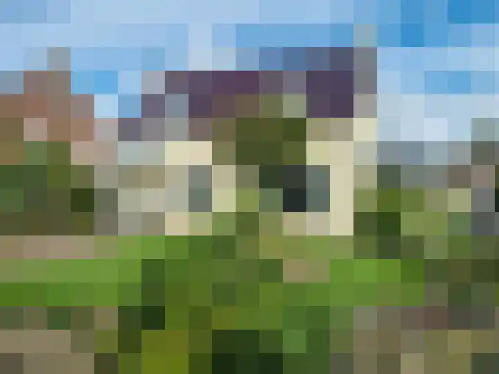 Ruigenhoek 1 De Zilk thumbnail 61
