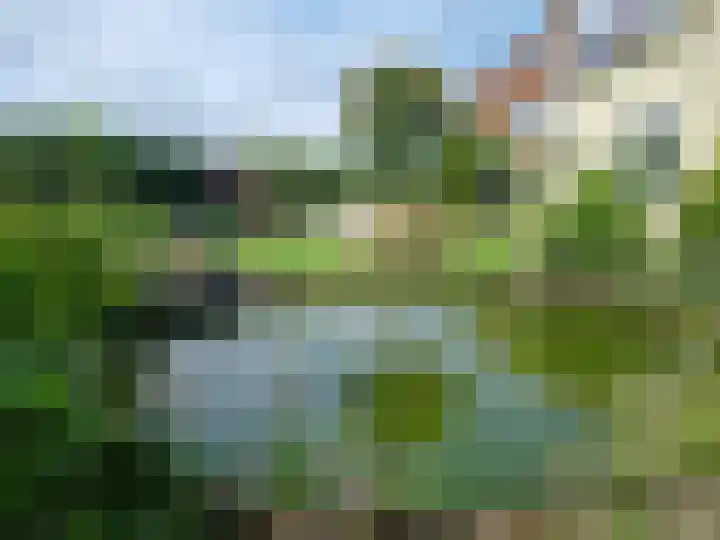 Ruigenhoek 1 De Zilk thumbnail 64