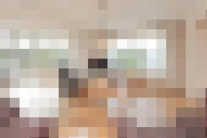 Ruigenhoek 1 De Zilk thumbnail 8