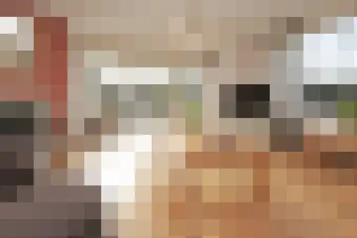 Ruigenhoek 1 De Zilk thumbnail 9