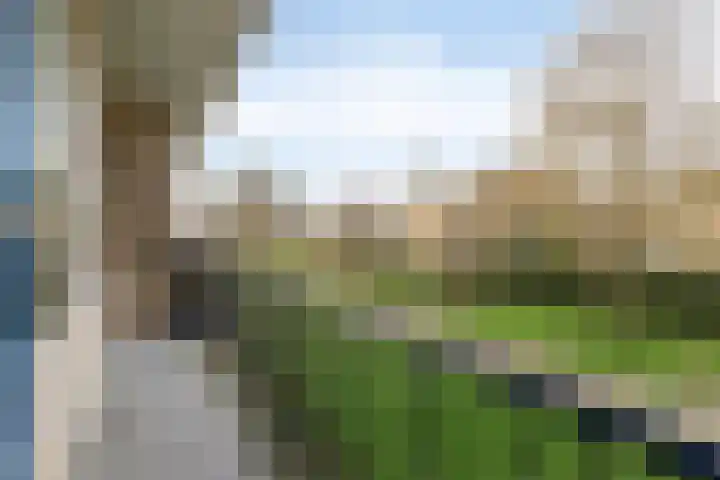 Ruigenhoek 132 Rotterdam thumbnail 12