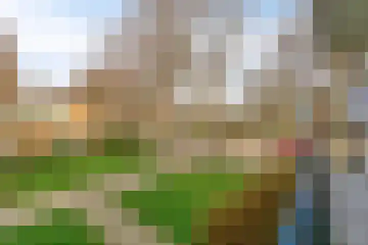 Ruigenhoek 132 Rotterdam thumbnail 14