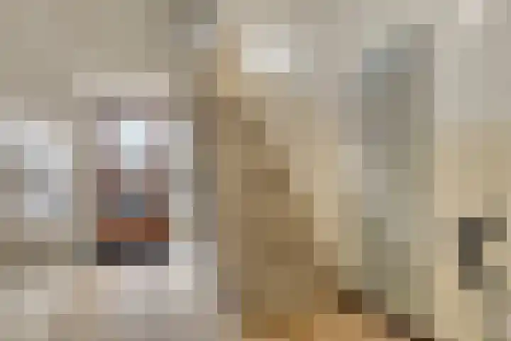 Ruigenhoek 132 Rotterdam thumbnail 19