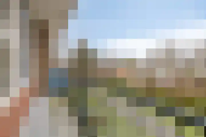 Ruigenhoek 94 Rotterdam thumbnail 16