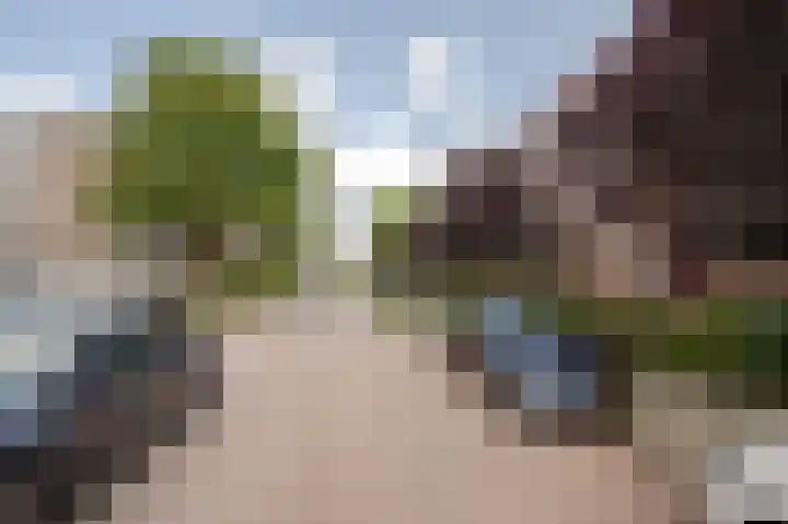 Ruigoord 60 Rotterdam thumbnail 23
