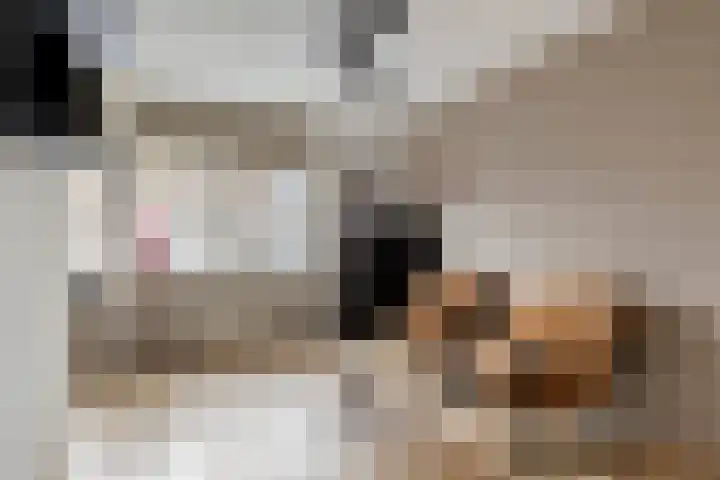 Ruimelsingel 59 Tilburg thumbnail 21