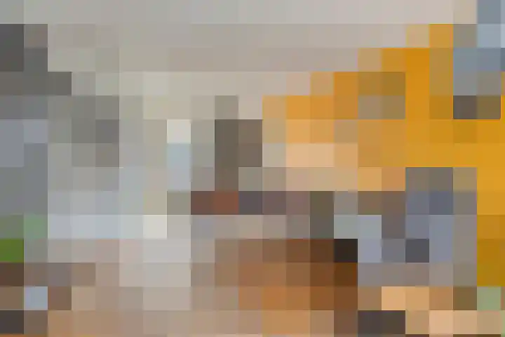 Ruimelsingel 59 Tilburg thumbnail 6