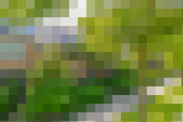 Ruimtevaartlaan 15 dans Krommenie