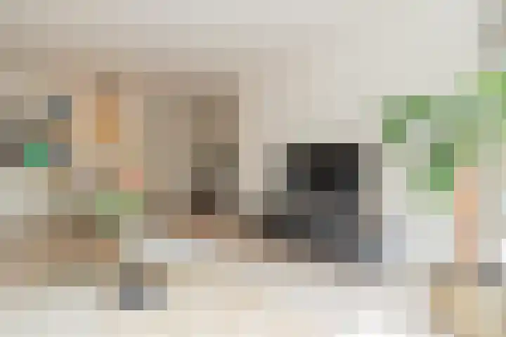 Ruimzicht 261 Amsterdam thumbnail 13