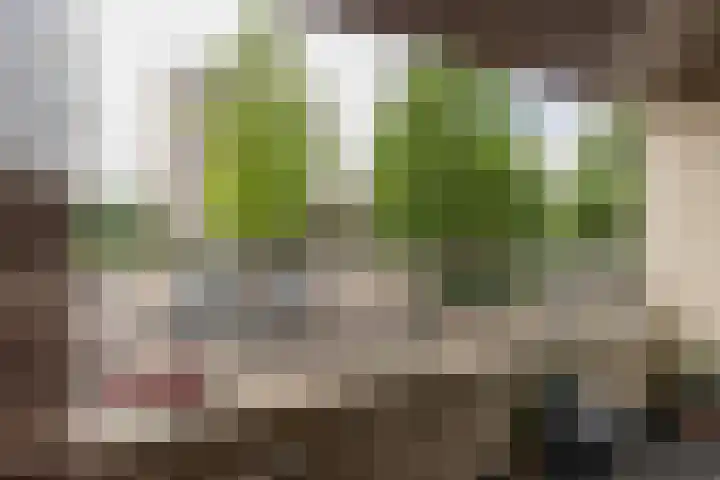 Ruimzicht 261 Amsterdam thumbnail 17