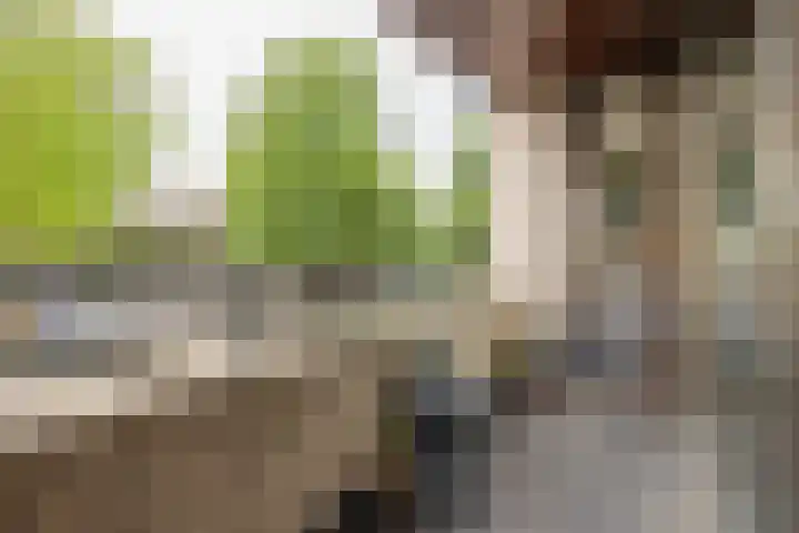 Ruimzicht 261 Amsterdam thumbnail 18