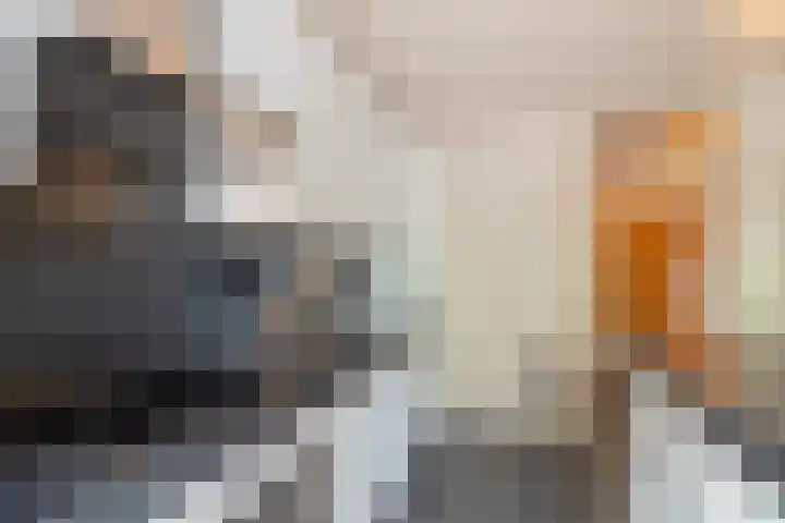 Ruimzicht 261 Amsterdam thumbnail 25