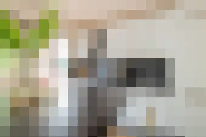 Ruimzicht 261 Amsterdam thumbnail 27