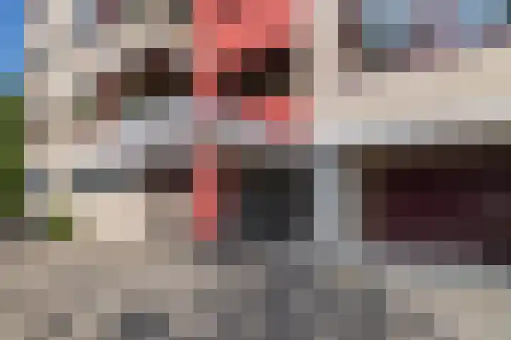 Ruimzicht 261 Amsterdam thumbnail 31