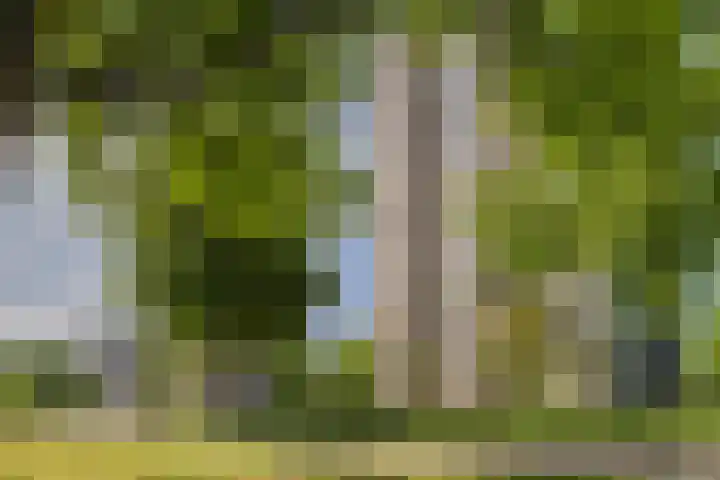 Ruimzicht 261 Amsterdam thumbnail 34