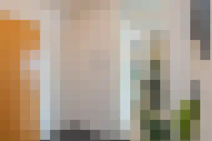 Ruimzicht 261 Amsterdam thumbnail 5