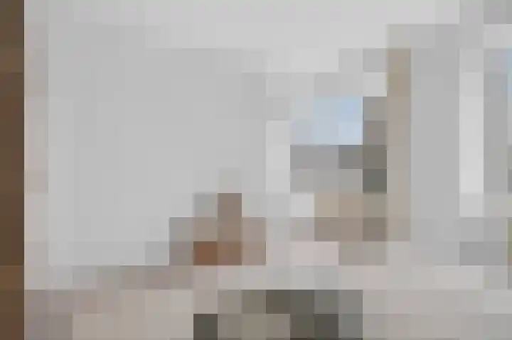 Ruimzicht 293 Amsterdam thumbnail 16