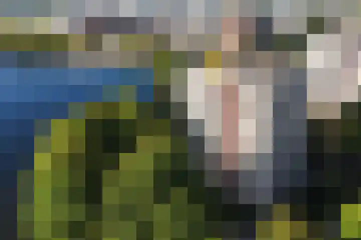 Ruimzicht 324 Amsterdam thumbnail 26