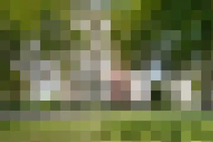 Ruimzicht 329 Amsterdam thumbnail 36