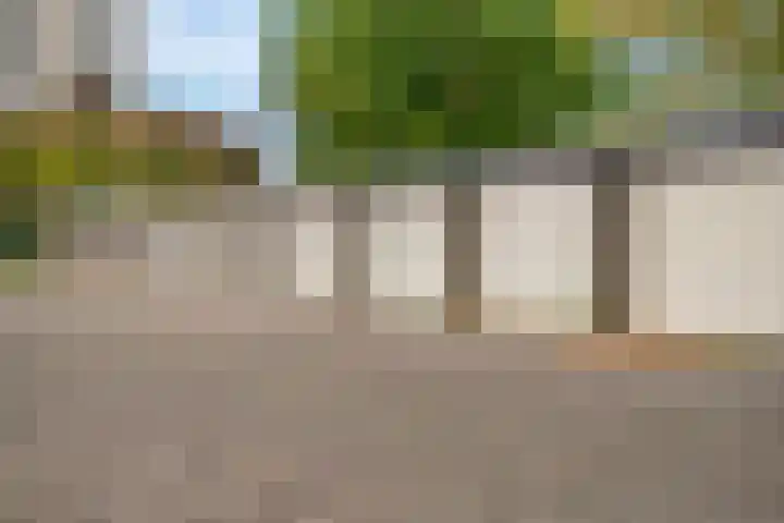 Ruimzicht 329 Amsterdam thumbnail 39