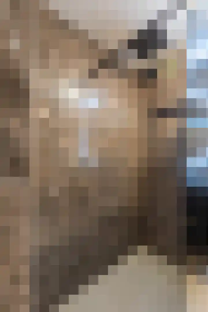 Ruimzicht 41 Amsterdam thumbnail 19
