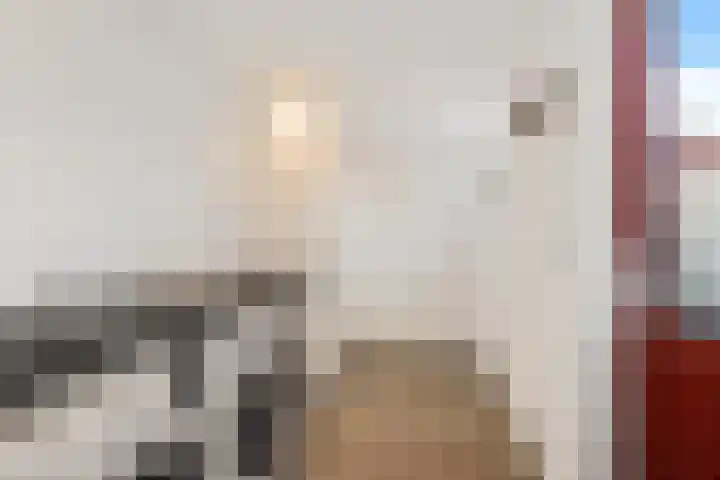 Ruimzicht 73 Amsterdam thumbnail 31