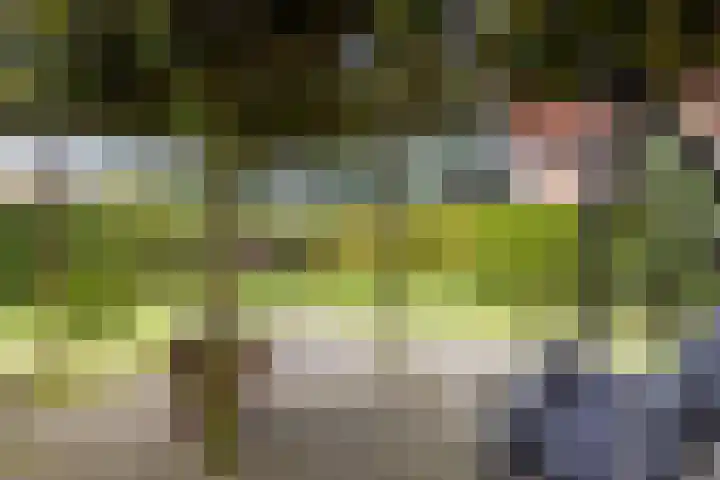 Ruinerbrink 127 Emmen thumbnail 13