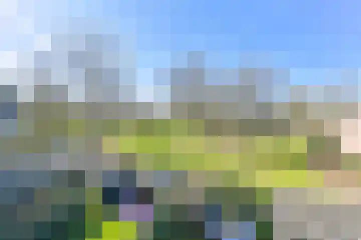 Ruinerbrink 127 Emmen thumbnail 4