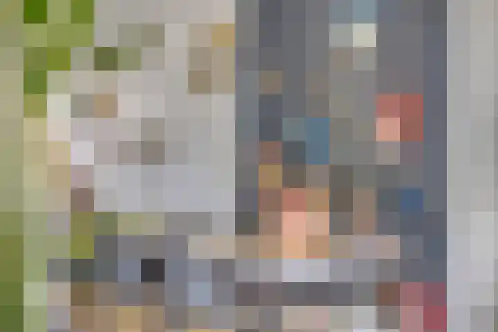 Ruinerbrink 155 Emmen thumbnail 16