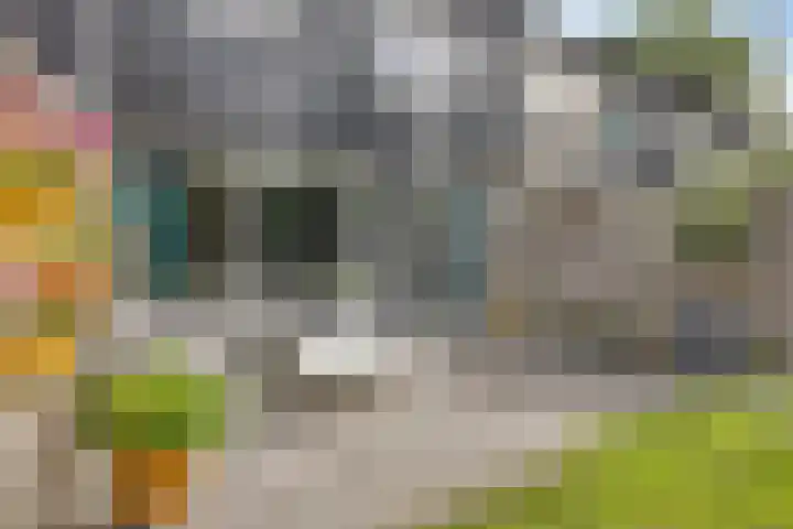 Ruinerbrink 155 Emmen thumbnail 32