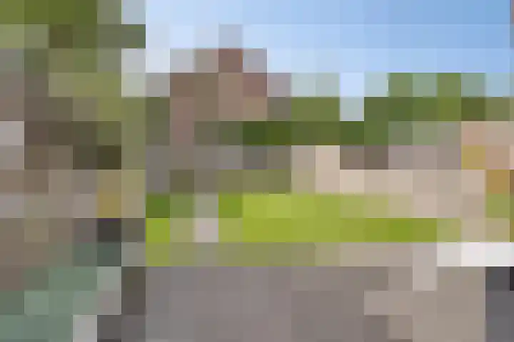Ruinerbrink 155 Emmen thumbnail 33