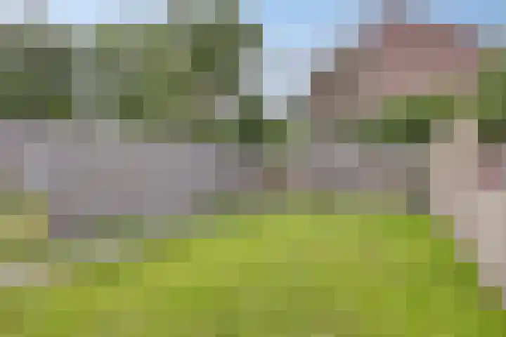 Ruinerbrink 155 Emmen thumbnail 34