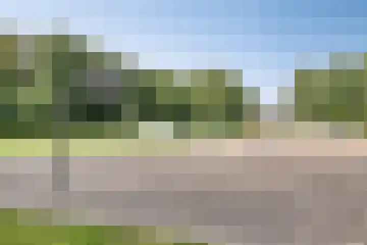 Ruinerbrink 155 Emmen thumbnail 35