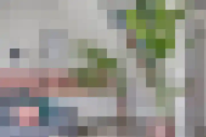 Ruinerbrink 155 Emmen thumbnail 9