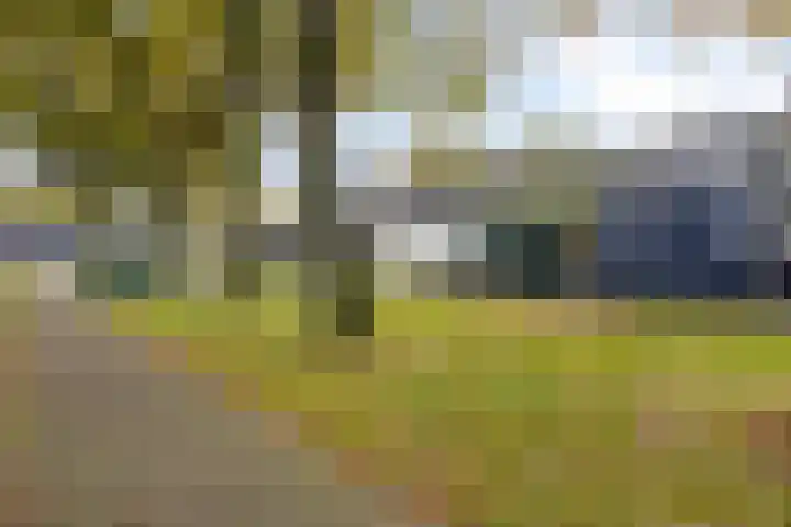 Ruinerbrink 178 Emmen thumbnail 19