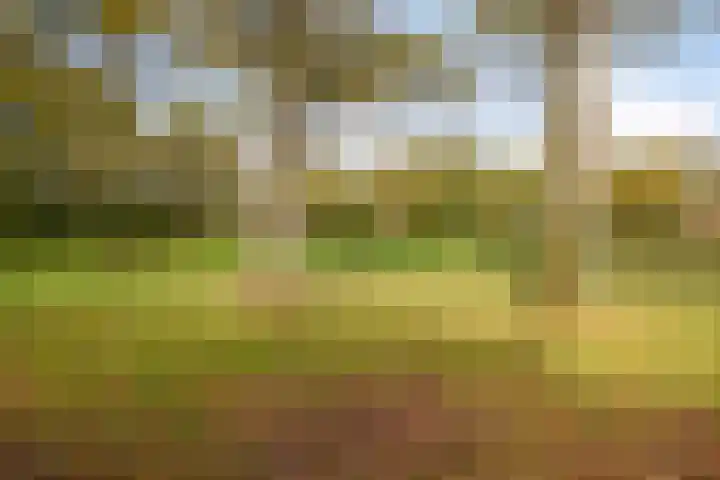 Ruinerbrink 178 Emmen thumbnail 20