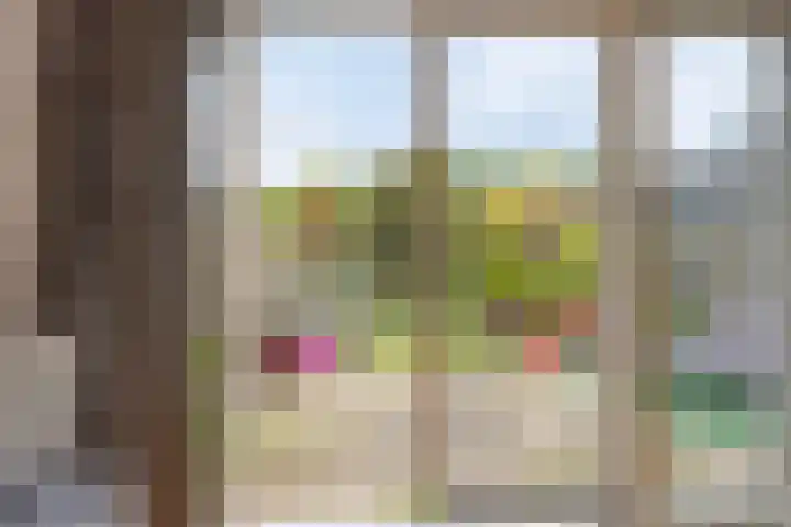 Ruinerbrink 207 Emmen thumbnail 13