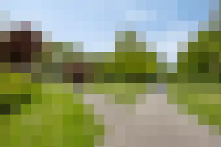 Ruinerbrink 207 Emmen thumbnail 31