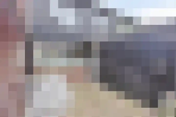 Ruinerbrink 207 Emmen thumbnail 7